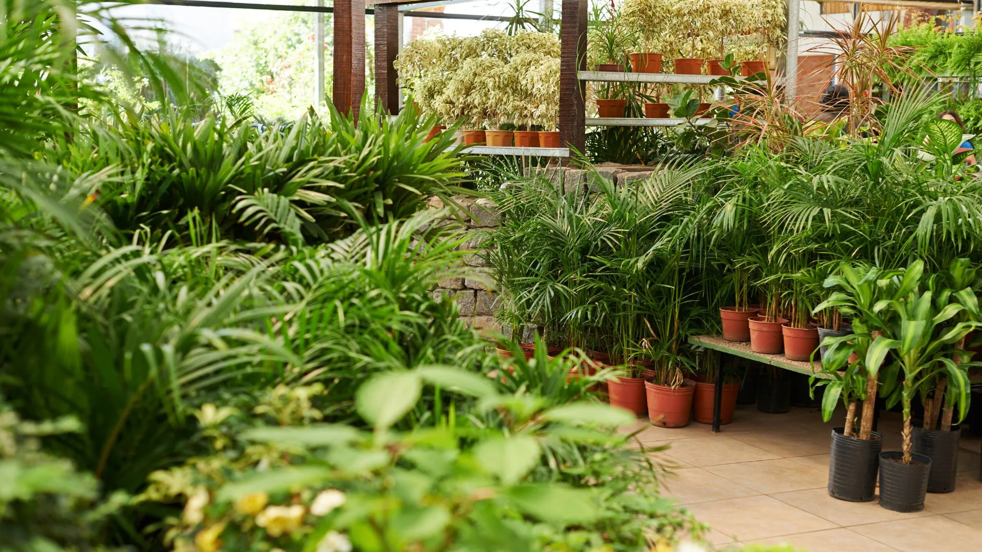 ขายต้นไม้และของแต่งสวน