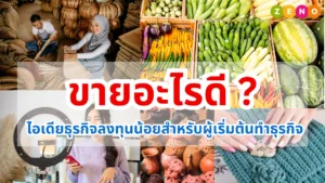 ขายอะไรดี ? ไอเดียธุรกิจลงทุนน้อยสำหรับผู้เริ่มต้นทำธุรกิจ