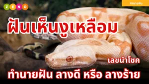 ทำนายฝันเห็นงูเหลือม | ความหมายและเลขนำโชค