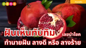 ฝันเห็นทับทิม: ทำนายฝัน ความหมายเชิงลึก พร้อมเลขนำโชค