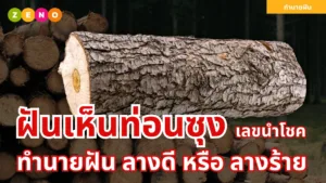 ฝันเห็นท่อนซุง ทำนายฝันและเลขนำโชค