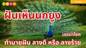 ฝันเห็นนกยูง ทำนายฝันและเลขนำโชค