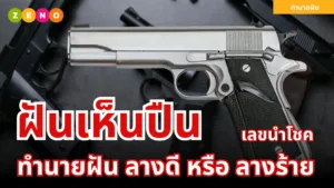 ทำนายฝัน | ฝันเห็นปืน ฝันเกี่ยวกับปืน ความหมายและเลขเด็ด