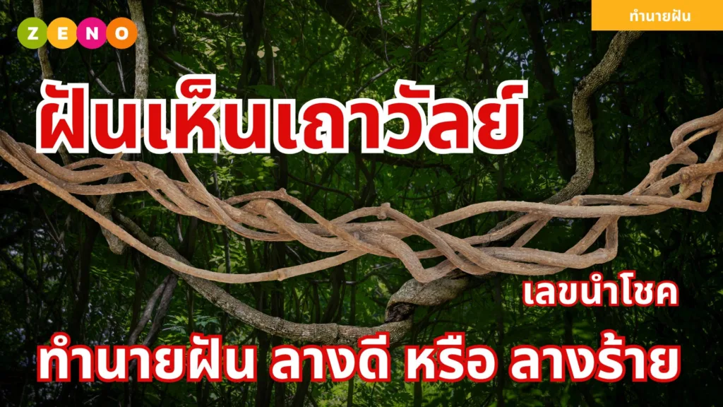 ฝันเห็นเถาวัลย์ | ความหมายและเลขนำโชค