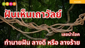 ฝันเห็นเถาวัลย์ | ความหมายและเลขนำโชค