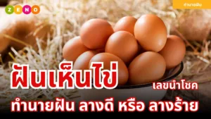 ทำนายฝันเห็นไข่ ฝันเห็นไข่แตก ฝันว่าได้กินไข่ | ความหมายและเลขนำโชค