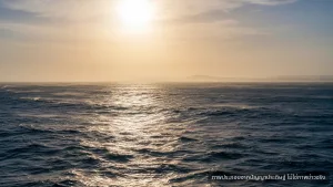 อุณหภูมิมหาสมุทร ทำสถิติร้อนสูงสุด 8 ปีซ้อน สะท้อนวิกฤตโลกร้อน