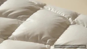 Fill Power คืออะไร? รู้ไว้ก่อนซื้อเสื้อกันหนาว-เครื่องนอน ไม่ให้พลาด