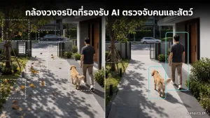 กล้อง AI แสดง A home entry path or front-door area